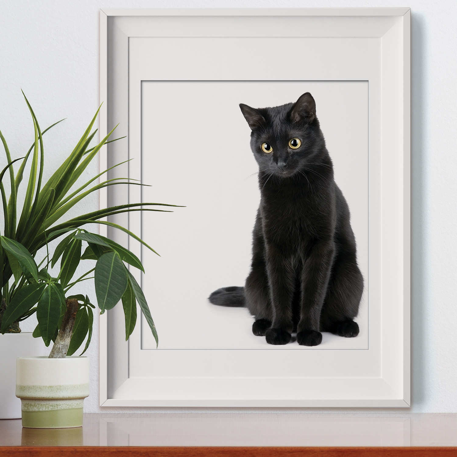 Details about   Walplus Wall Sticker Decal Wall Art 2in1 Cute Black Cat ThinkingHome Decorations